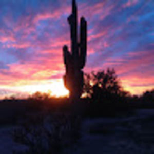 Meet your Posher, Pam